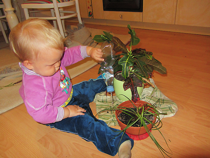 dziecko pomaga w domu podlewanie kwiatów