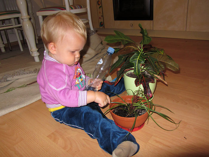 dziecko pomaga w domu podlewanie kwiatów
