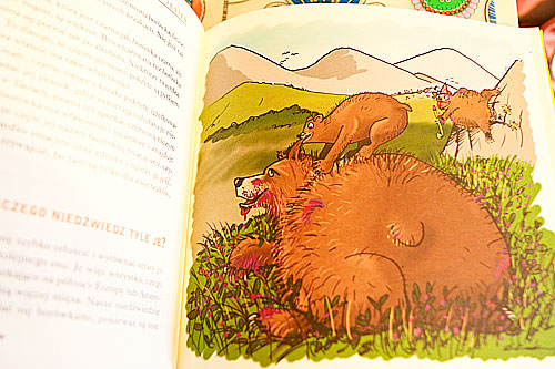 przewodnik prawdziwych tropicieli jesien, książki o jesieni dla dzieci