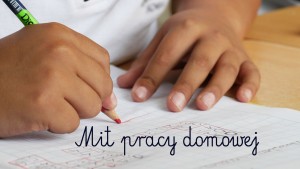 mit-pracy-domowej