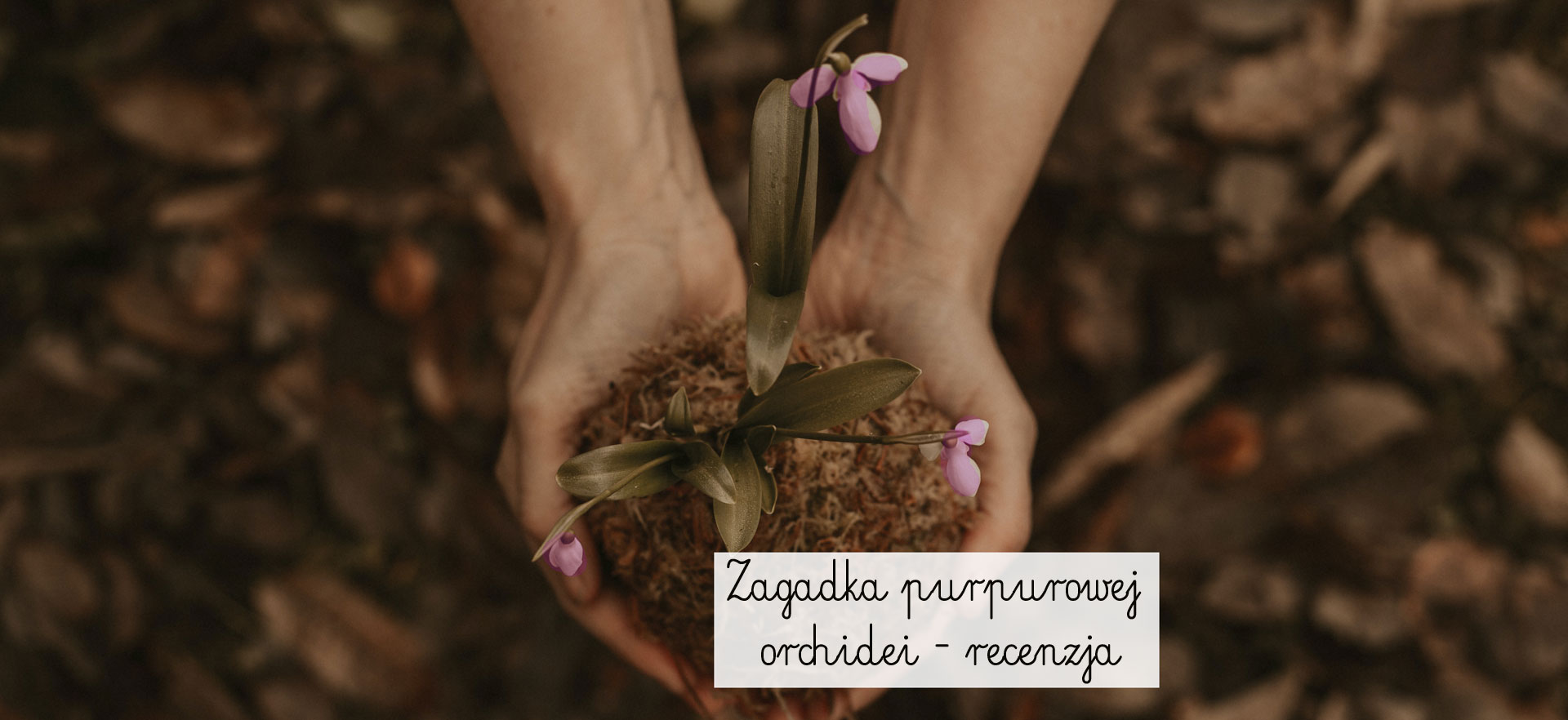 zagadka-purpurowej-orchidei